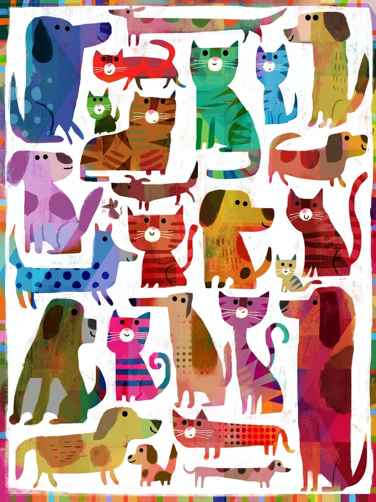 Catsndogs Fy