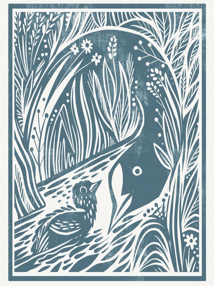 Coot