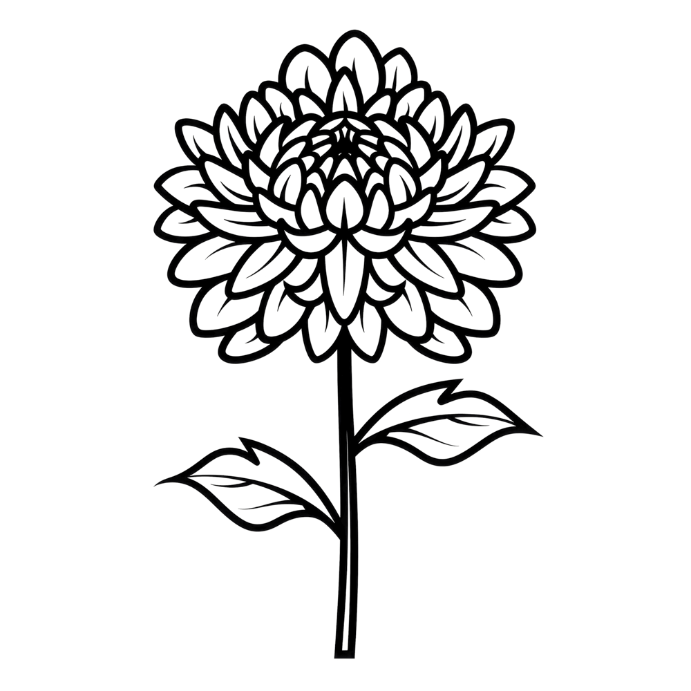 Chrysantheme Geburtsmonatsblume November 1