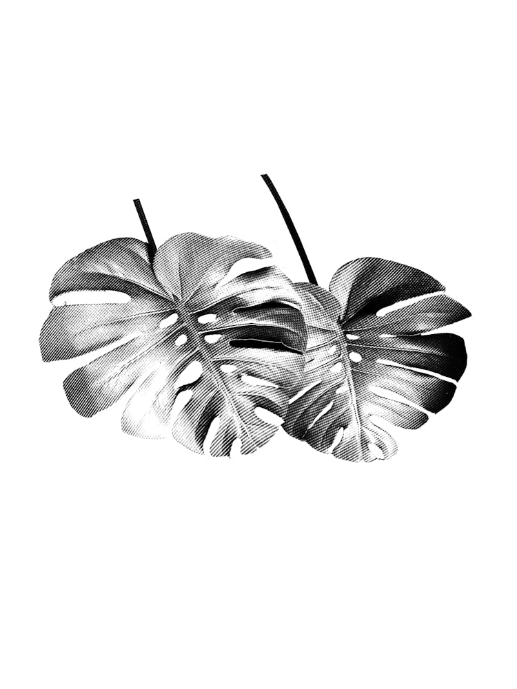 Monstera Leafs Minimalist Black And White Boho