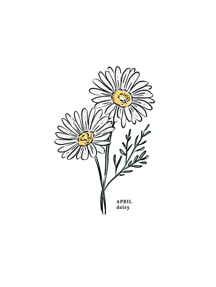 Fleur de Naissance Marguerite d'Avril 1