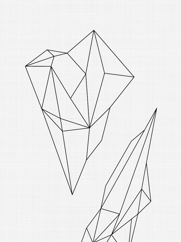 Geometric