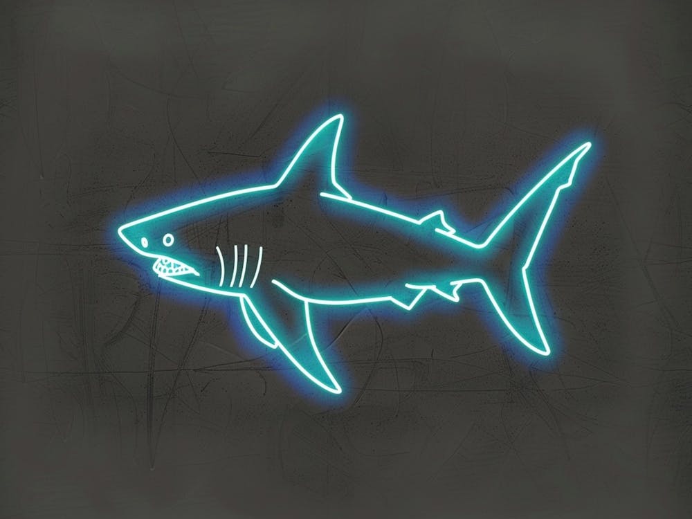 Neon Blue Common Thresher Shark 3