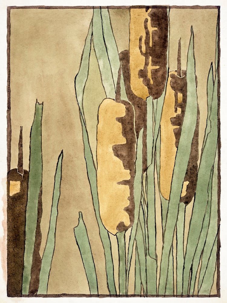 Cattail (1915), Hannah Borger Overbeck