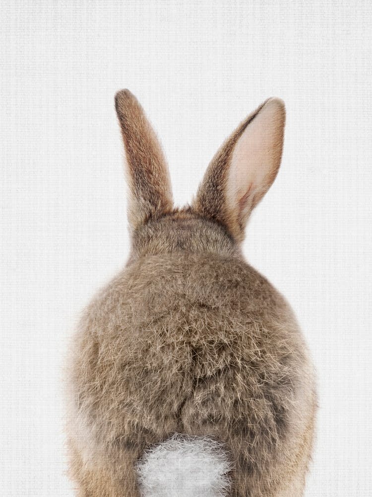 Peekaboo Bunny Tail