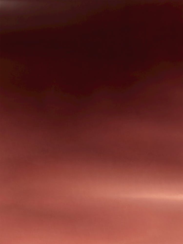 Late Autumn Afternoon - 01