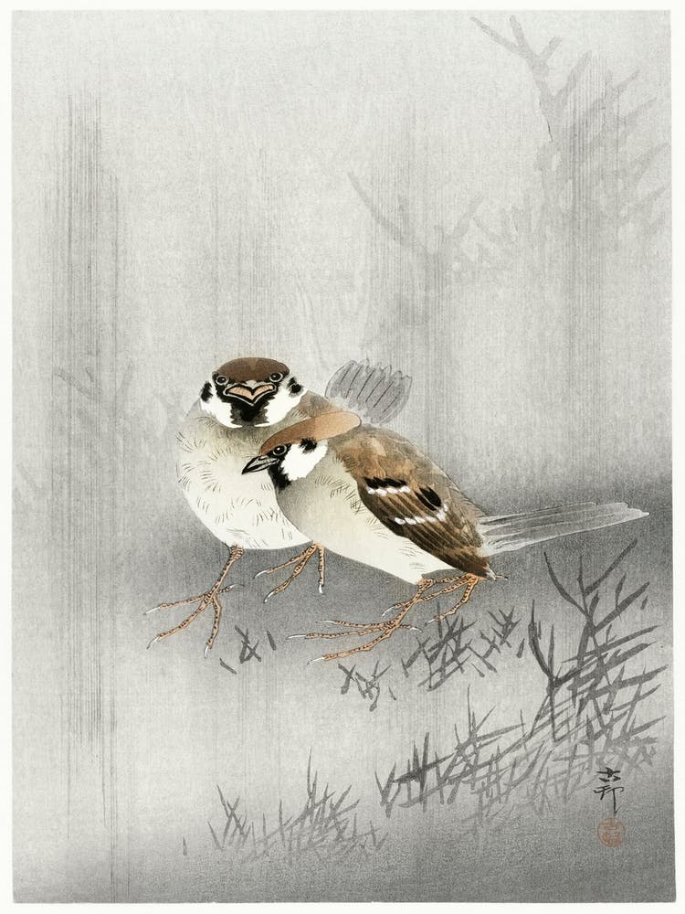 Two Ring Sparrows In The Rain (1900 1930), Ohara Koson