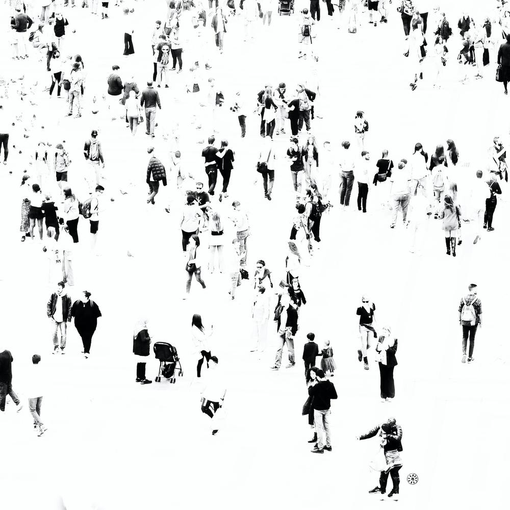 People And Pigeons - square art photo photography black and white crowd crowdscape