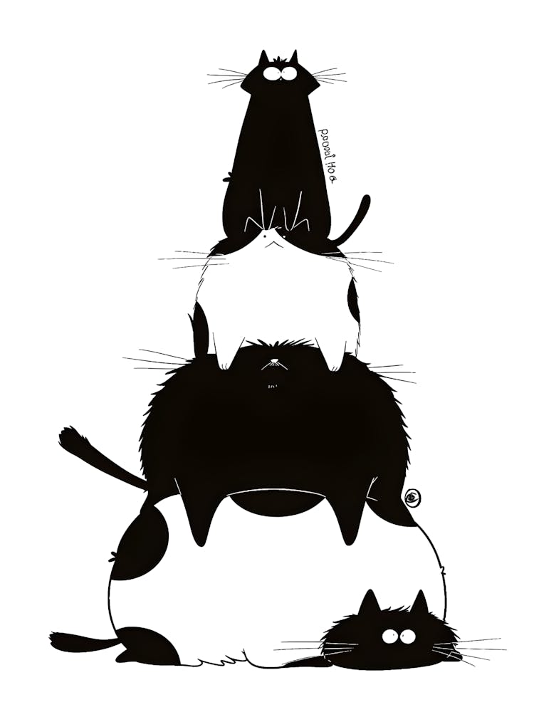 Schwarze Katzen übereinandergestapelt