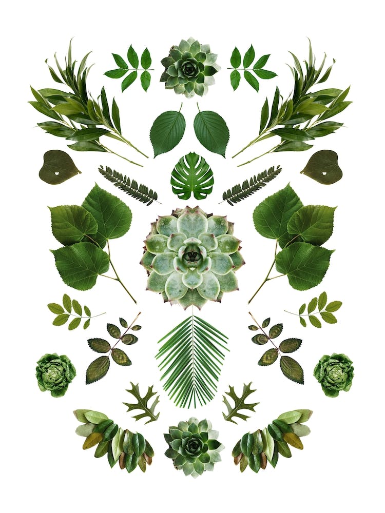 Green Collage