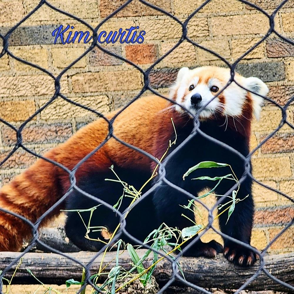 Picsart 23 09 24 13 25 27 903