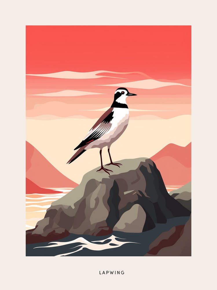 Minimalist Lapwing 2 Bird Poster