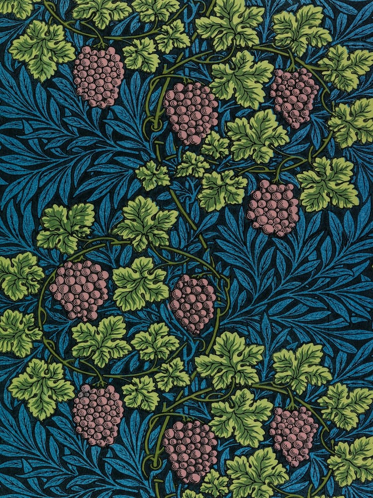 Vine, William Morris