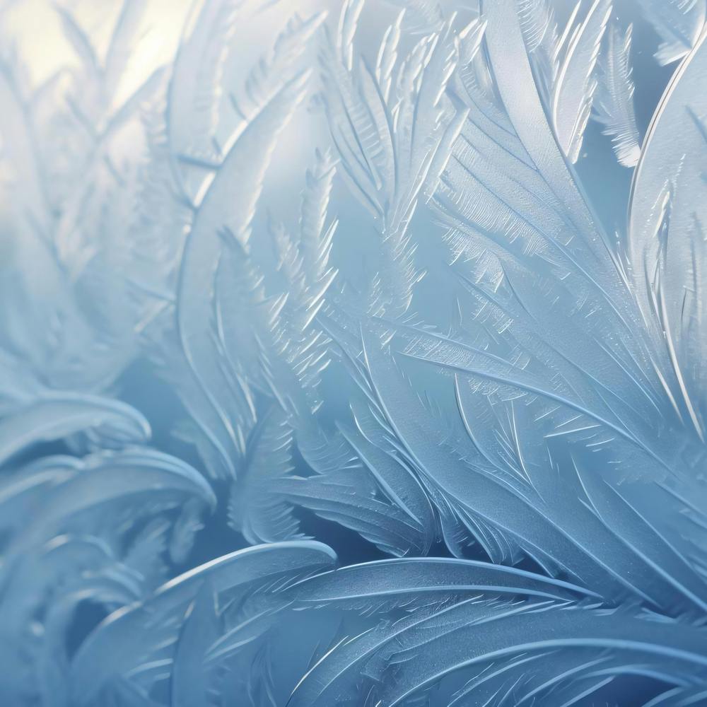Frosty Feathers 1