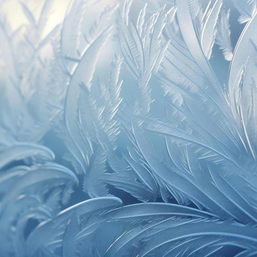 Frosty Feathers 1