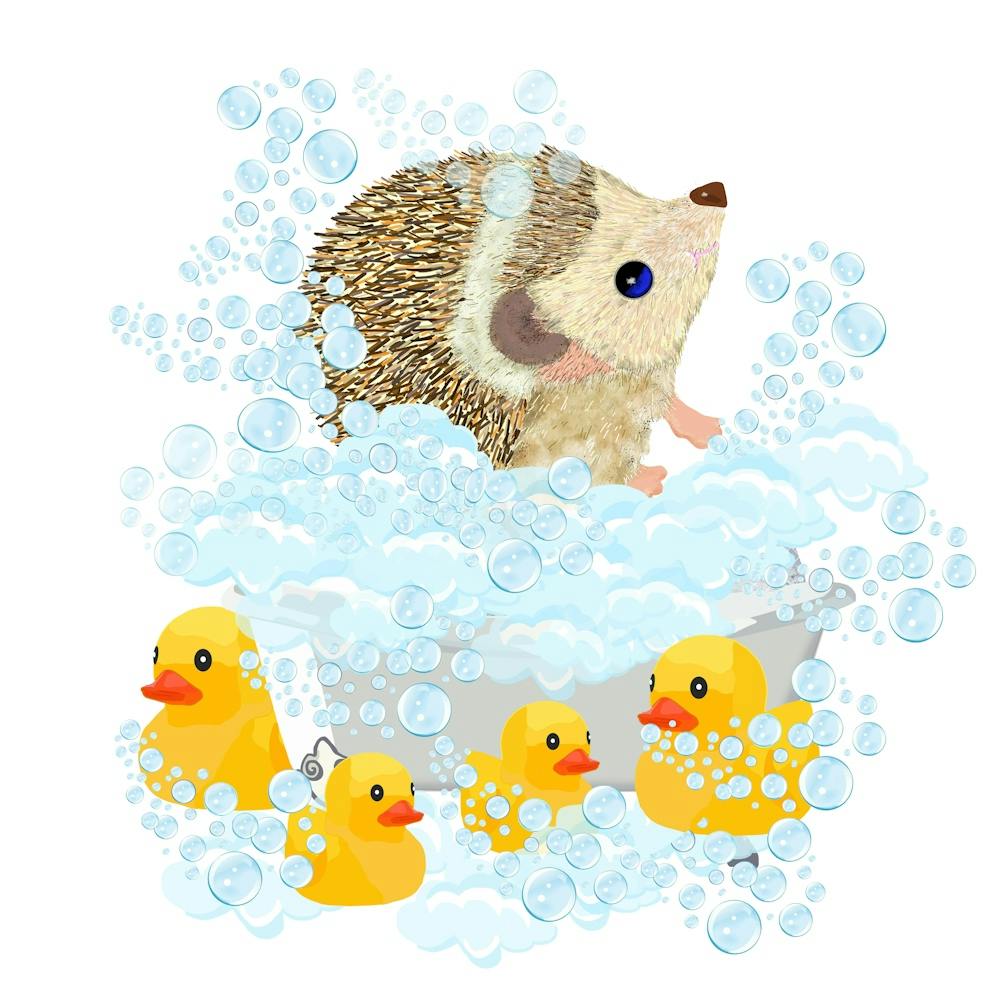 Hedgehog, bubbles and bath time