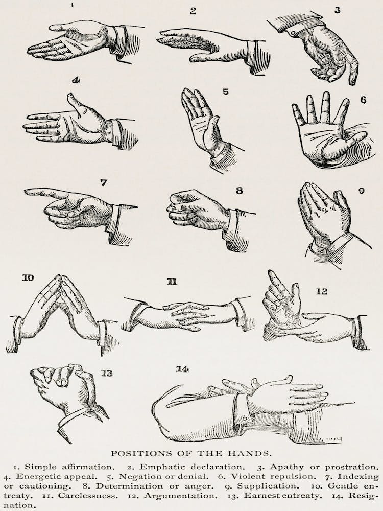 Sign Language