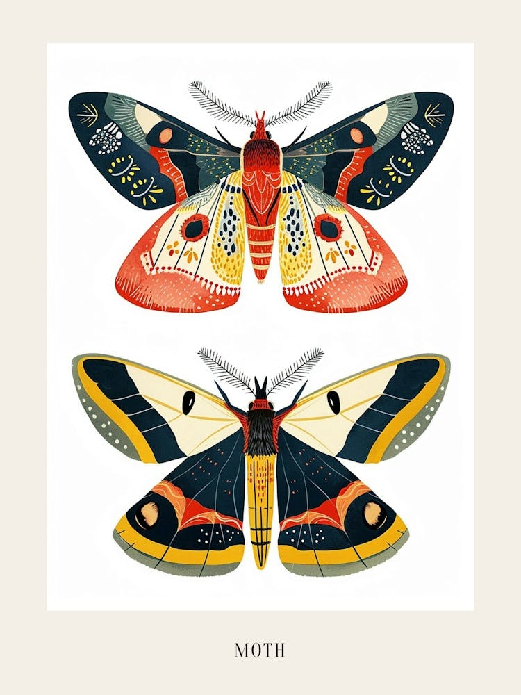 Colourful Insect Illustration Moth 51 Poster