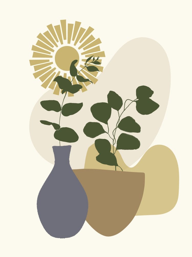 Pots And Plants 5