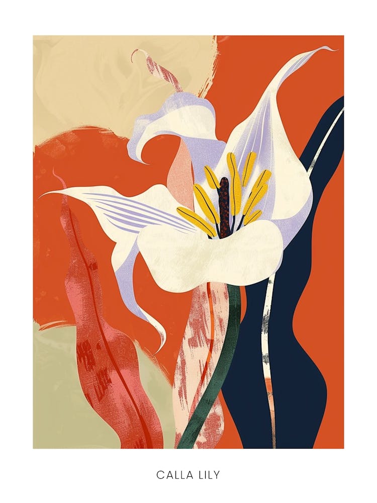 Colourful Flower Illustration Poster Calla Lily 3
