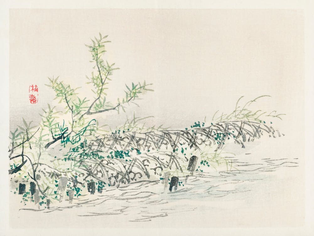 Bulrush, Kōno Bairei