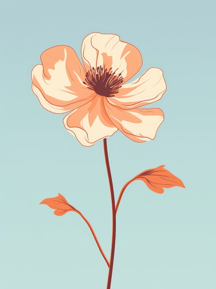 Anemonenblume
