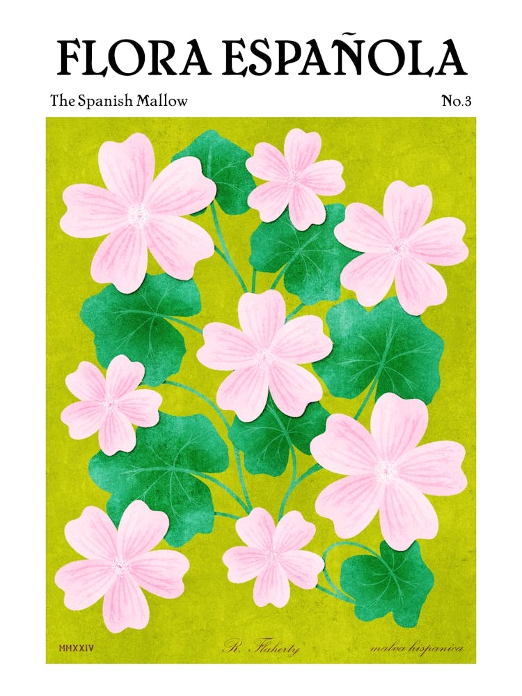 Spanish Flora Malva Hispanica
