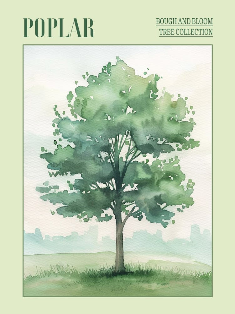 Poplar Tree Atmospheric Watercolour Painting 1 Poster