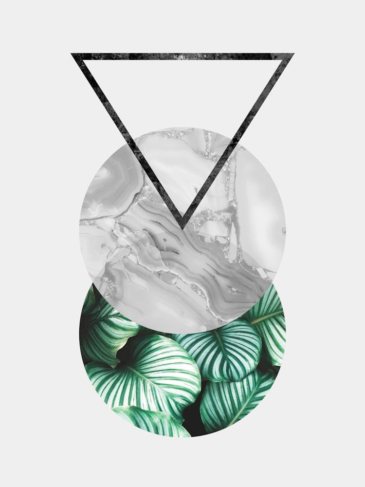 Tropical geometry 1