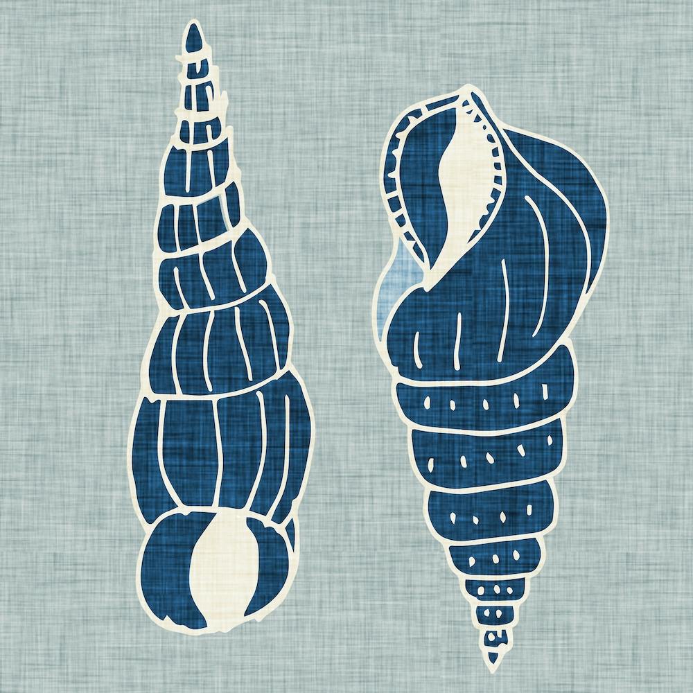 Sea Conch Texture Square