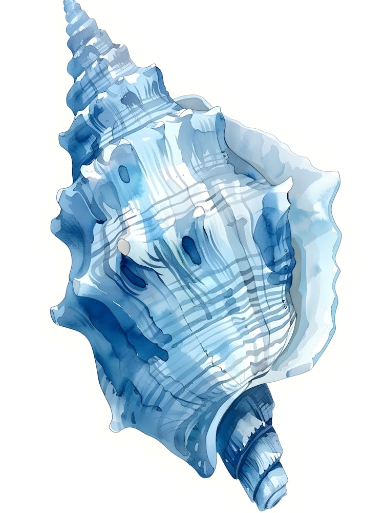 Blue Sea Shell 1