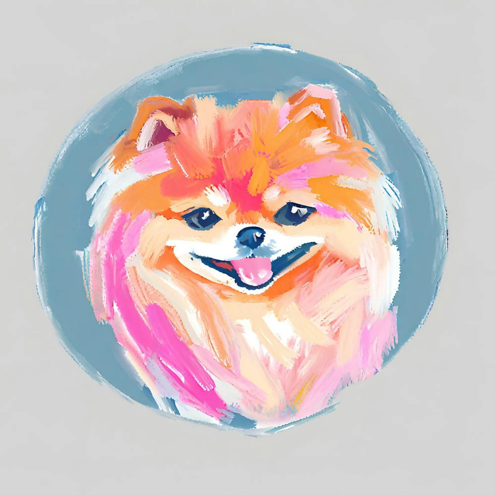 Pomeranian 03