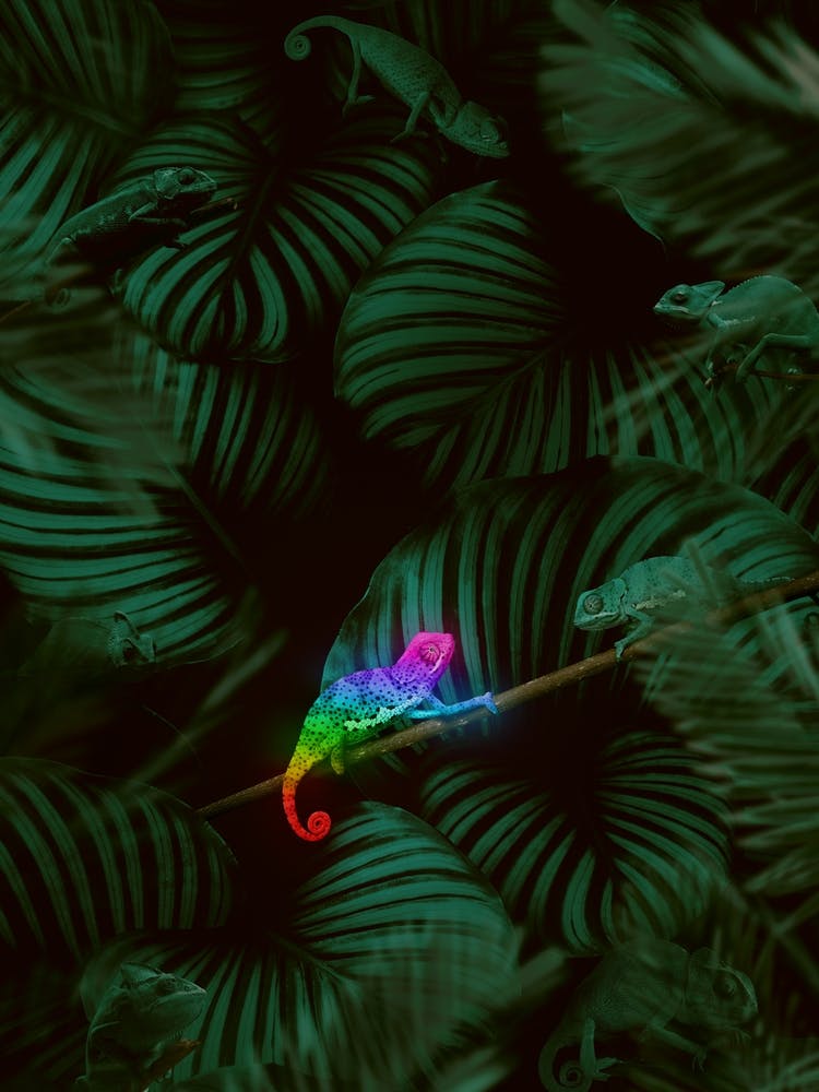 Proud To Be Different