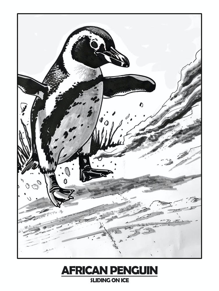 Penguin Sliding On Ice Poster 2