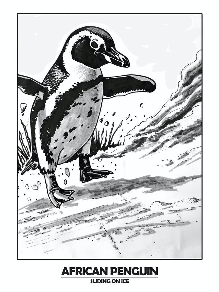 Penguin Sliding On Ice Poster 2