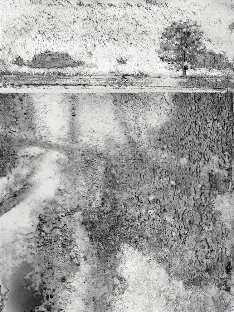 Paysage Brumeux Texturé