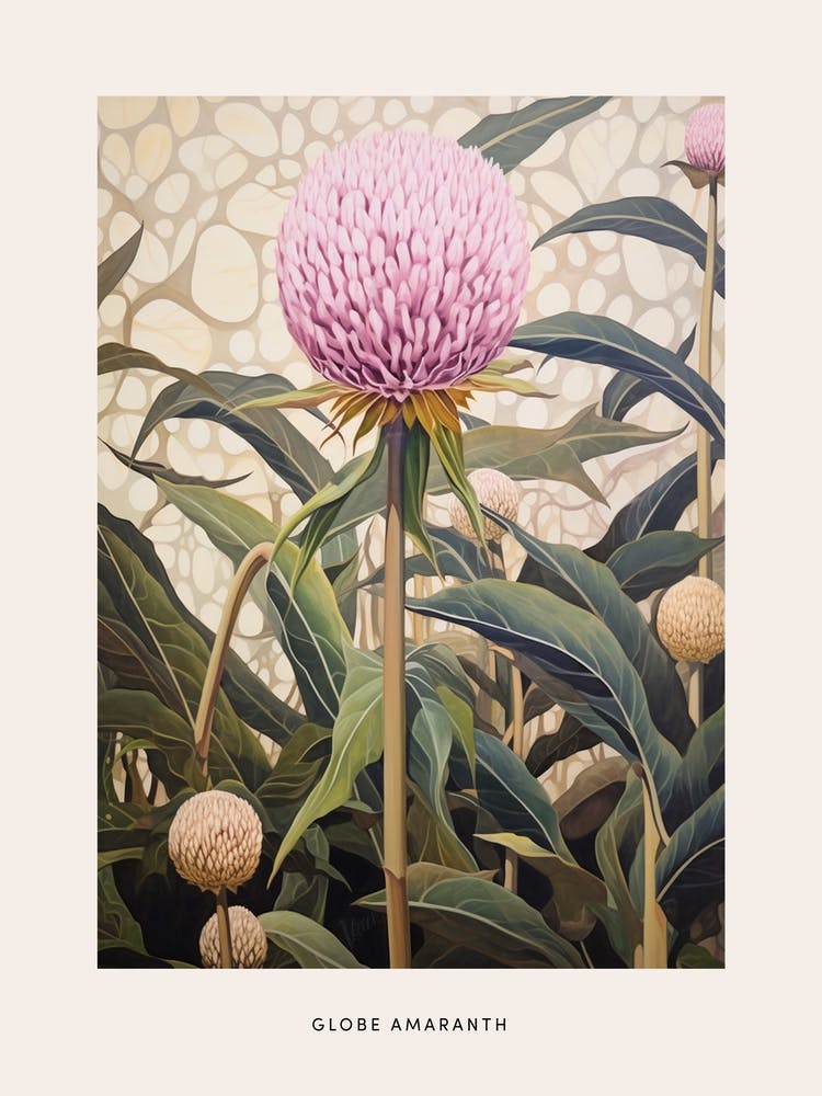 Flower Illustration Globe Amaranth 1 Poster