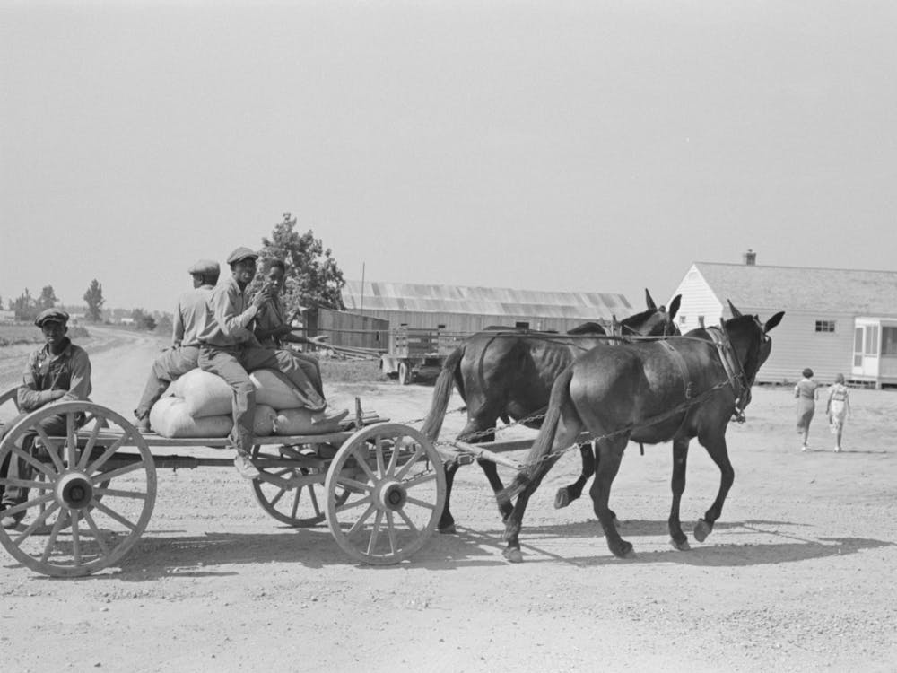Southeast Missouri Farms, Fsa (Farm Security Administration) Clients On Wagon By Russell Lee