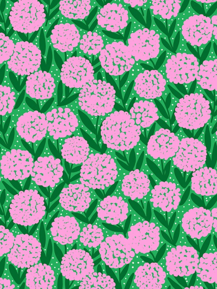 Blooming Abstract Allium Flowers Pink Green Dark Green