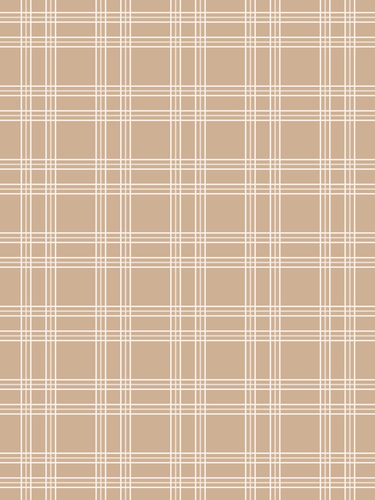 Tan Beige Gingham