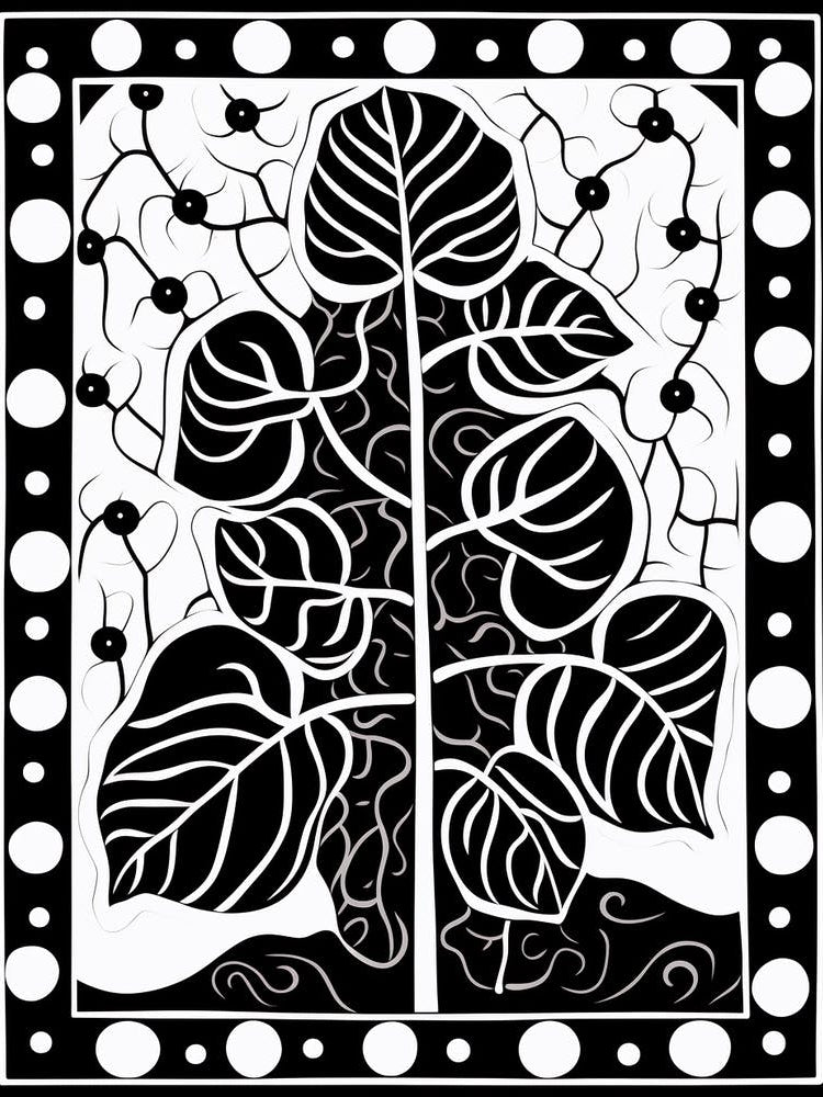 B&W Plant Illustration Hoya 4