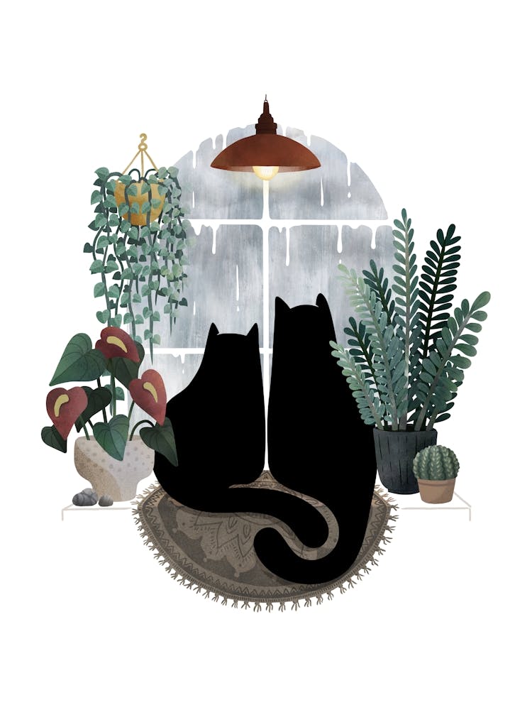 Rainy Day Cats On White