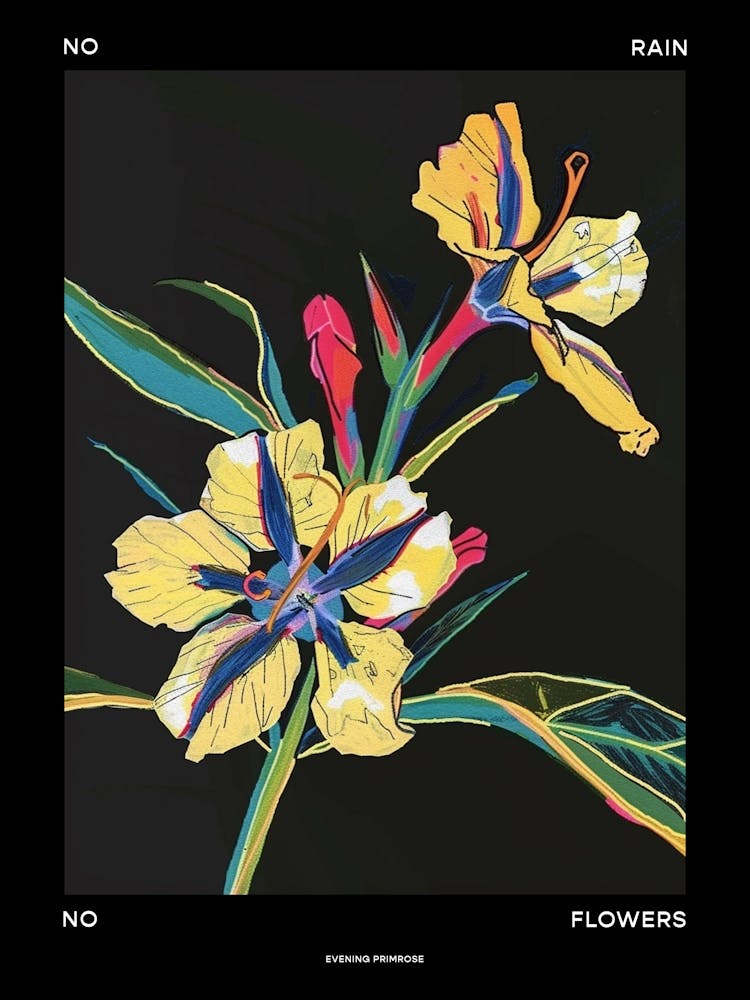 No Rain No Flowers Poster Evening Primrose 1