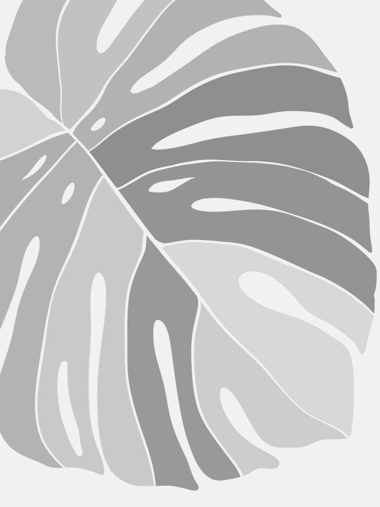 Monstera Leaf 4