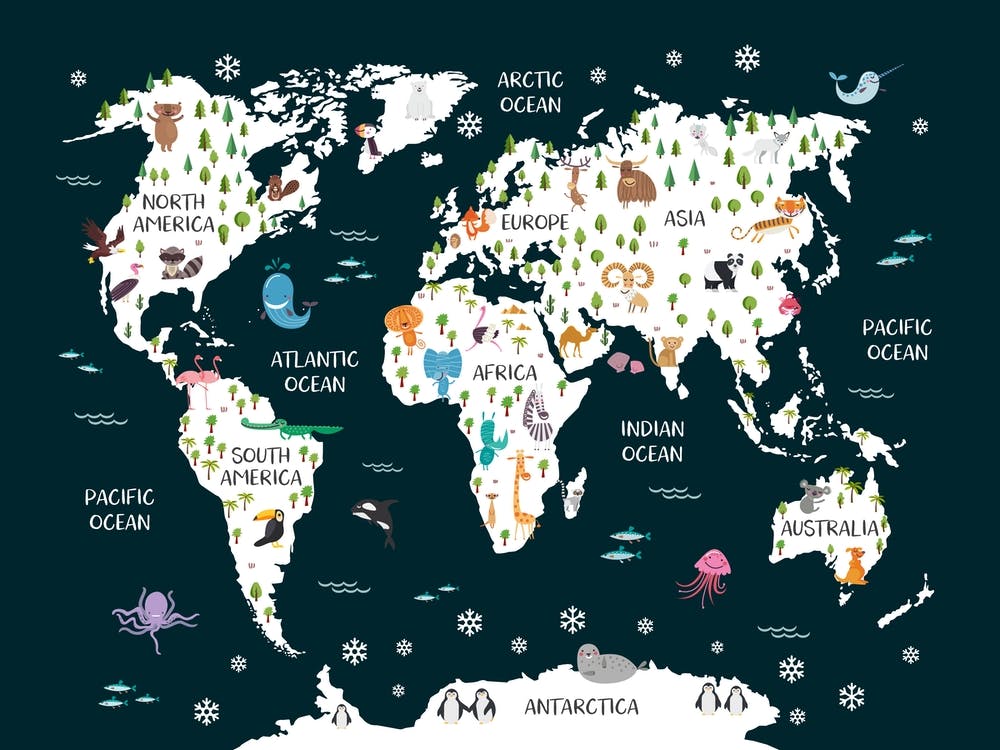 Kids Animal World Map In Navy