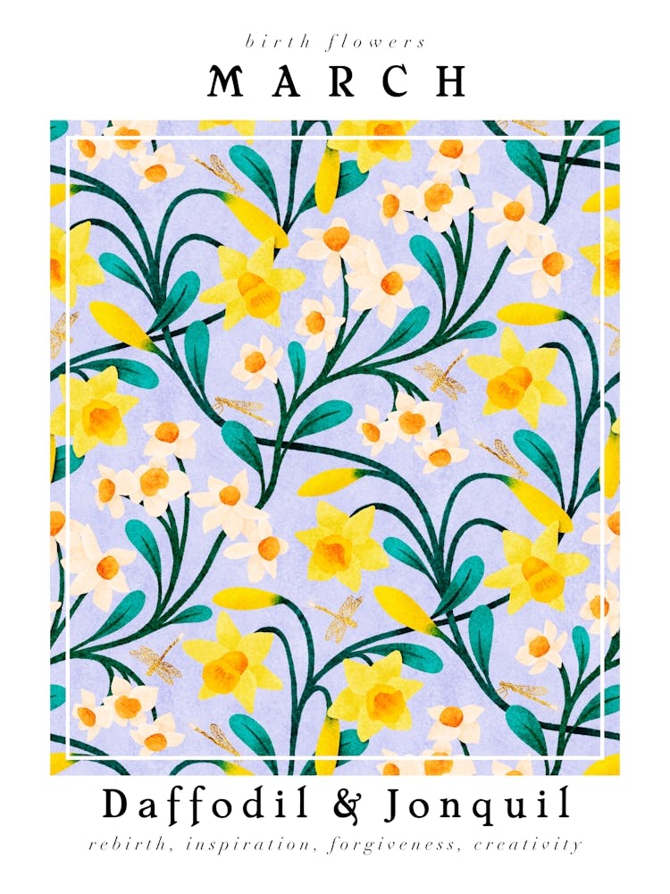 March Birth Flower Daffodil & Jonquil