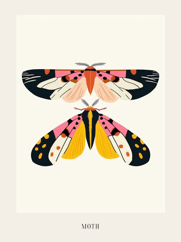 Colourful Insect Illustration Moth 3 Poster