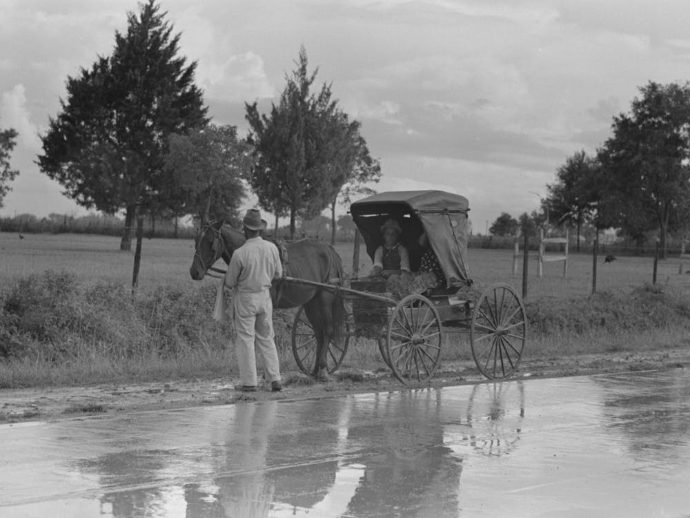 Buggy Stopped On Highway Near Lafayette, Louisiana By Russell Lee