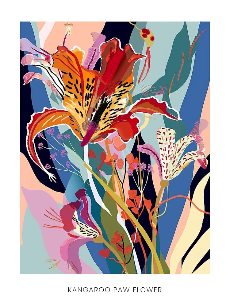 Colourful Flower Illustration Poster Kangaroo Paw Flower 4