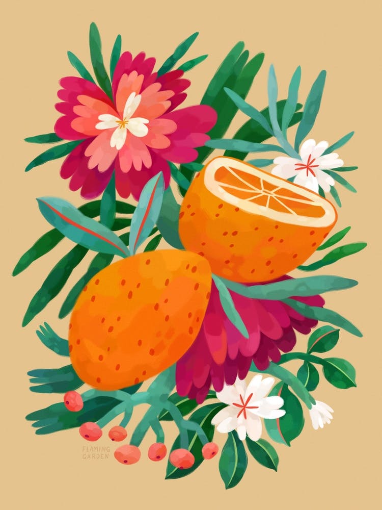 Colorful Oranges With Pink Flowers